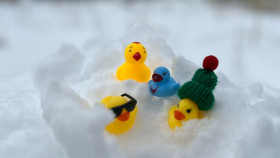 Image 6 of 7 -
            Experience Sauna to get an impression of WHM-Wochenende at Arosa