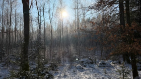 Image 3 of 6 -
            Experience Breathing to get an impression of Grundlagen-Workshop at Schrems