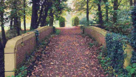 Image 5 of 5 -
            Experience Nature to get an impression of WHM Fundamentals Workshop at Diest