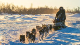 Image 10 of 15 -
            Experience Theory to get an impression of WHM Travel at Hackås