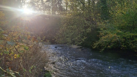 Image 5 of 8 -
            Experience Nature to get an impression of Weekend at Yvoir
