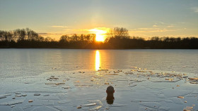 Image 4 of 9 -
            Experience Ice Bath to get an impression of WHM Fundamentals Workshop at Delft
