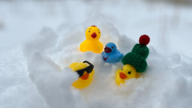 Image 7 of 14 -
            Experience Theory to get an impression of Reisen at Hackås