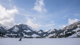 Image 7 of 10 -
            Experience Yoga to get an impression of Reisen at Plaffeien