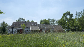 Image 20 of 20 -
            Experience Breathing to get an impression of WHM Fundamentals Workshop at Mechelen