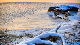 Image 19 of 29 -
            Experience Theory to get an impression of WHM Weekend at Český Krumlov