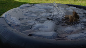 Image 25 of 40 -
            Experience Breathing to get an impression of WHM Grundlagen-Workshop at Uster