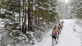 Image 29 of 32 -
            Experience Nature to get an impression of WHM-Wochenende at 8692 Neuberg an der Mürz, Österreich