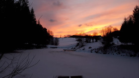 Image 6 of 21 -
            Experience Nature to get an impression of WHM-Wochenende at Schloß Rosenau