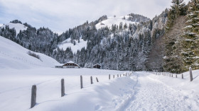 Image 5 of 10 -
            Experience Yoga to get an impression of Reisen at Plaffeien