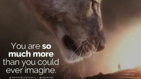 Image 2 of 14 -
            Experience Ice Bath to get an impression of WHM Workshop-Grundlagen at Marthalen