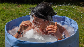 Image 1 of 3 -
            Experience Theory to get an impression of Taller de Fundamentos WHM at Ciudad de México