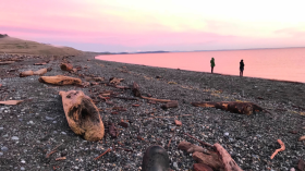 Image 2 of 17 -
            Experience Ice Bath to get an impression of WHM Weekend at Friday Harbor